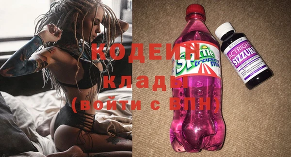 ГАЛЛЮЦИНОГЕННЫЕ ГРИБЫ Ельня