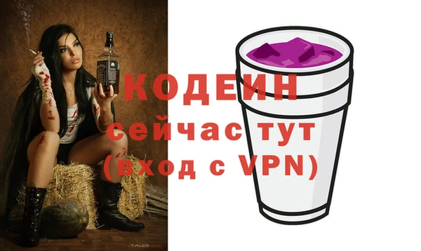 ГАЛЛЮЦИНОГЕННЫЕ ГРИБЫ Ельня