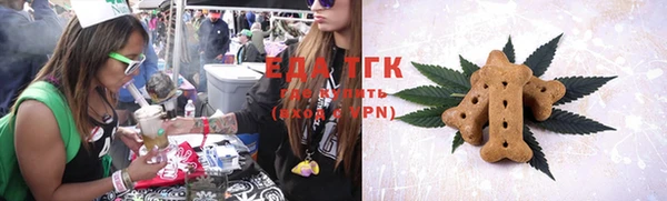 ГАЛЛЮЦИНОГЕННЫЕ ГРИБЫ Ельня