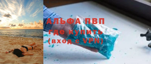 ГАЛЛЮЦИНОГЕННЫЕ ГРИБЫ Ельня