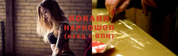 ГАЛЛЮЦИНОГЕННЫЕ ГРИБЫ Ельня
