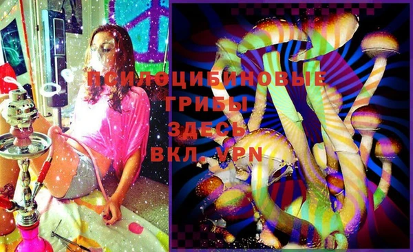 бутират Елабуга